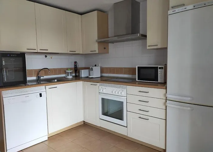 Apartment Paseo Maritimo Antonio Banderas *